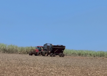 Produção de cana-de-açúcar em MS cresce e deve ultrapassar 52 mil toneladas