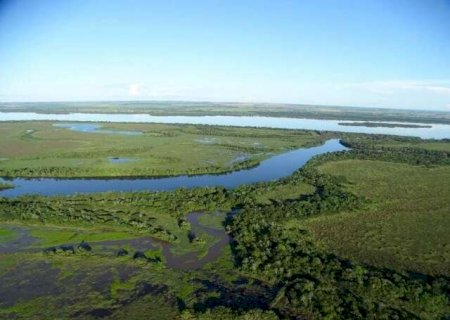 Decreto define regras para corredores ecol&oacute;gicos em propriedades rurais de MS