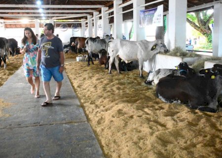 Expogrande 2026 será realizada de 9 a 19 de abril