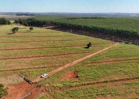 Campo Grande debate caminhos para fortalecer a logística florestal no Estado