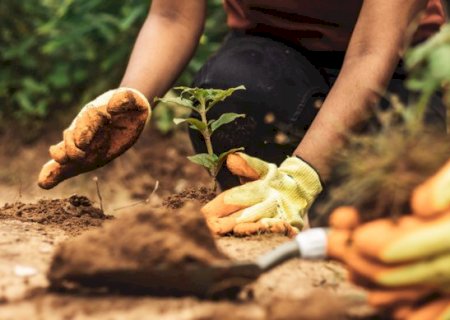 Ministério da Agricultura define regras para selos de boas práticas no campo