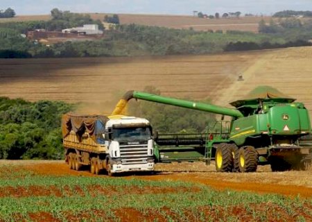 Safra recorde consolida MS entre os seis maiores produtores de gr&atilde;os do pa&iacute;s