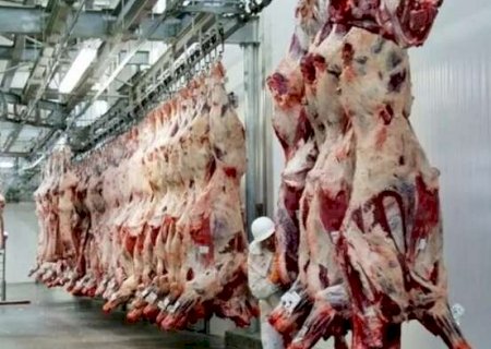 MS deve sentir efeitos moderados de nova tarifa da China sobre a carne
