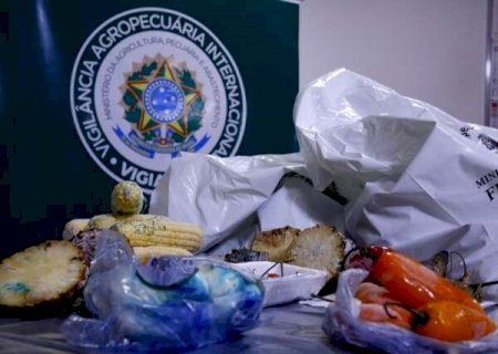 Nova regra esclarece o que pode entrar no Brasil na mala de viajantes