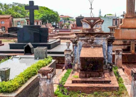 Ossada é encontrada embaixo de árvore no Cemitério Santo Amaro; polícia suspeita de ritual religioso