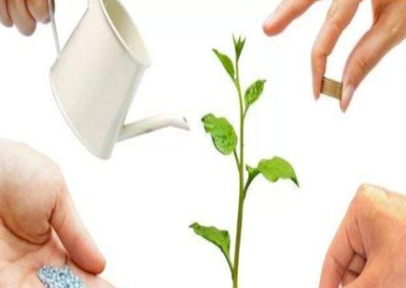 Juros morat&oacute;rios no cr&eacute;dito rural: entenda de forma simples