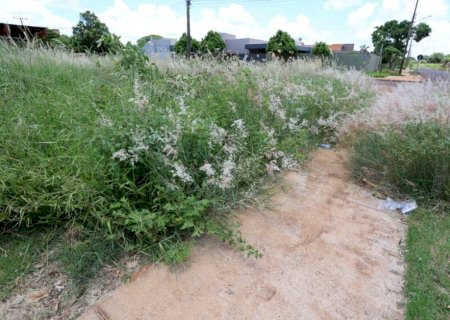 Caarapó notifica proprietários para limpeza de terrenos no prazo de 30 dias