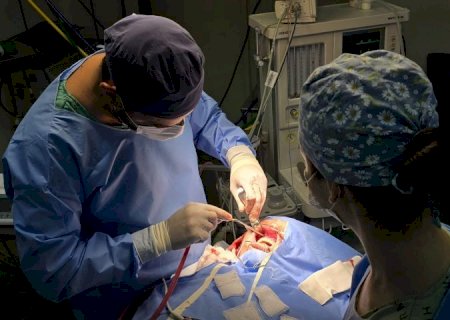 Com investimento do Governo de MS, Hospital Regional retoma cirurgias bucomaxilofaciais>