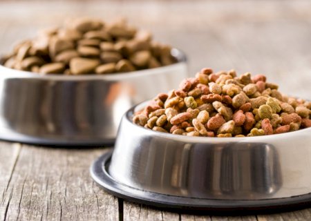 Brasil habilita 40 plantas de pet food para exportação à Costa Rica