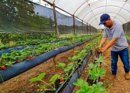 Nova regra permite mudar valor que estados e munic&iacute;pios bancam em conv&ecirc;nios