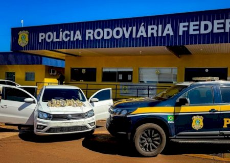 PRF apreende 20 Kg de haxixe em Dourados