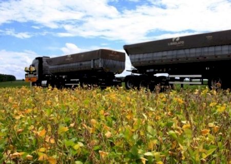 Escoamento da soja faz fretes oscilarem entre queda de 8% e alta de 33% em MS