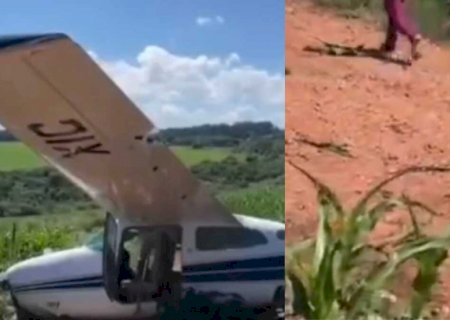 Avião faz pouso forçado em plantação de milho em MS