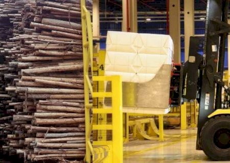 Com R$ 131 bi em investimentos até 2030, celulose deve puxar PIB de 1,2% de MS