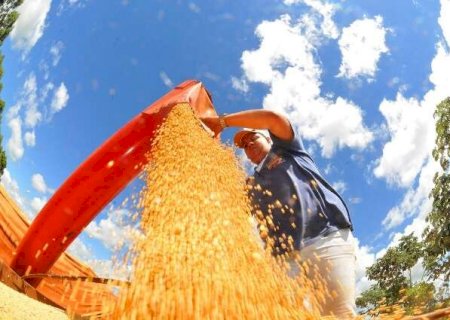 MS só consegue armazenar 48,4% da produção de grãos