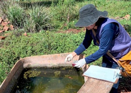 Dourados registra quarta morte por chikungunya nas aldeias e Prefeitura alerta para o avanço da doença