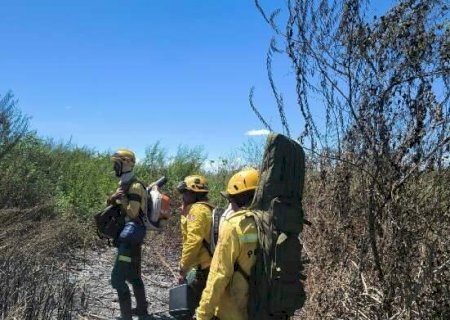 Com rio baixo e El Niño à vista, Pantanal já entra em alerta para incêndios