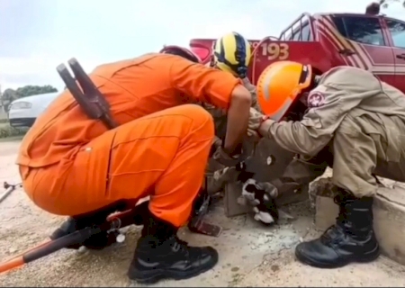 Filhote fica entalado em bueiro e bombeiros quebram concreto para salvar (vídeo)>