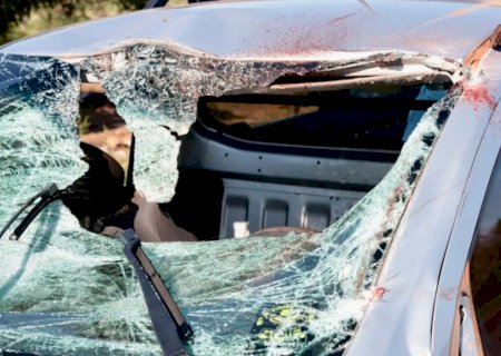 Cavalos morrem atropelados por motoristas na rodovia BR-262