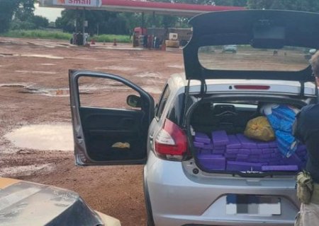 PRF apreende 213 Kg de maconha em Ivinhema (MS)