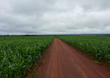 Colheita da soja chega a 94,9% e plantio do milho atinge 99,5%