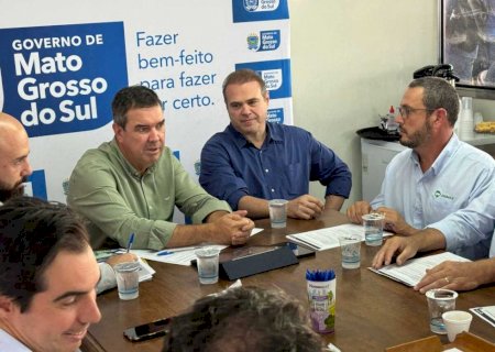 Governo e associação alinham atração de indústrias e reforçam suinocultura em MS>