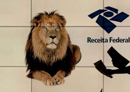 Caiu na malha fina do IR 2026? Veja como corrigir e evitar multa>