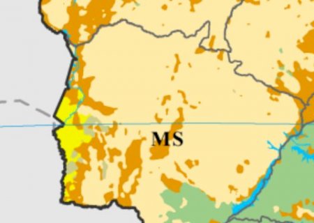 MS vai além de Cerrado e Pantanal: mapa revela mosaico de vegetações>