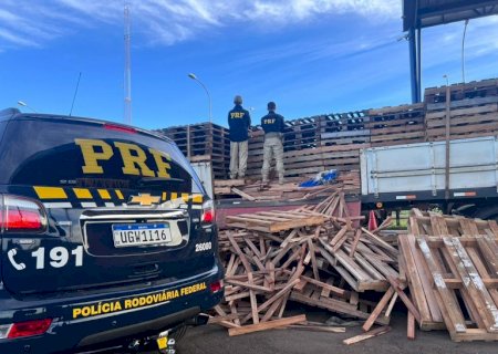 PRF apreende uma tonelada de maconha em Caarapó (MS)>