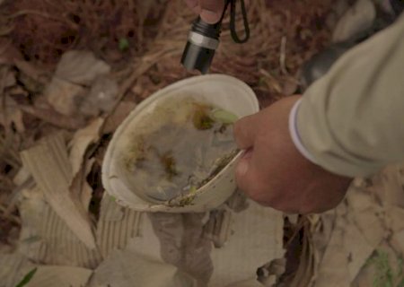 Douradina confirma 1&ordf; morte por chikungunya e MS soma 17 &oacute;bitos