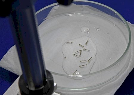 Boletim Epidemiológico: MS registra 4.834 casos confirmados de chikungunya>