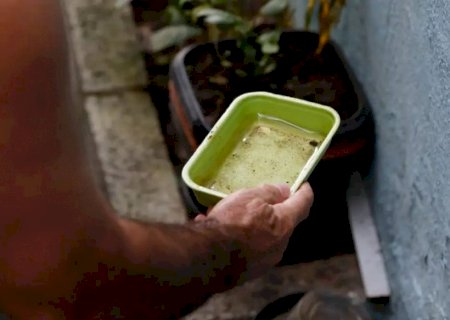LIRAa de maio orienta ações de prevenção às arboviroses em MS