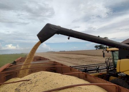 Exporta&ccedil;&atilde;o de soja cresce 41% em MS e movimenta US$ 385 milh&otilde;es>