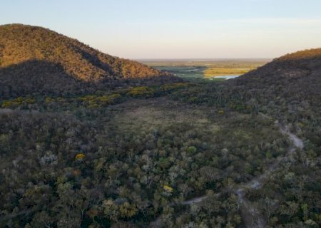 Para preservar o Pantanal, podutores rurais têm ações de conservação remuneradas por programa do Governo de MS>