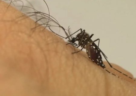 Mato Grosso do Sul registra a 22ª morte por chikungunya em 2026>