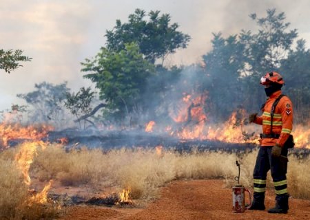 Bombeiros de MS se preparam para temporada de incêndios florestais com treinamentos e ações em campo>