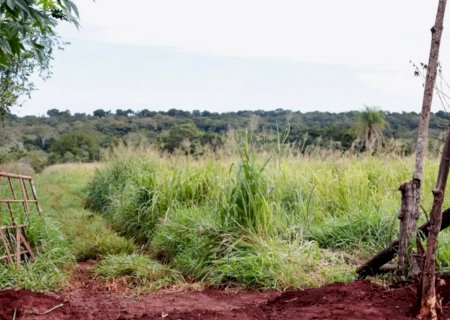 Corpo de idoso é encontrado dentro de saco em área de brejo em MS>
