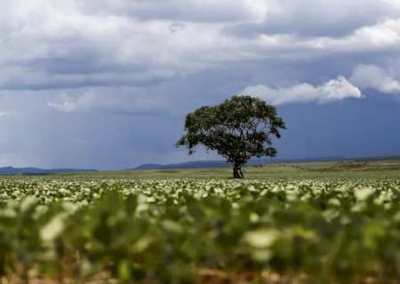 Crédito rural financiou R$ 92,4 bi em áreas com alertas ambientais>