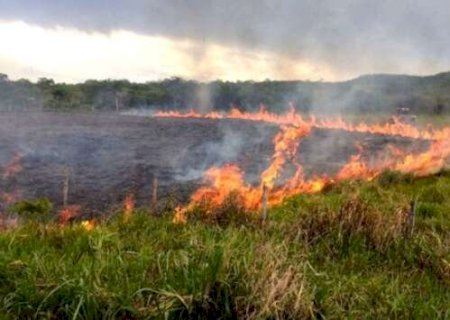 MS suspende queimas controladas at&eacute; novembro e amplia restri&ccedil;&atilde;o no Pantanal