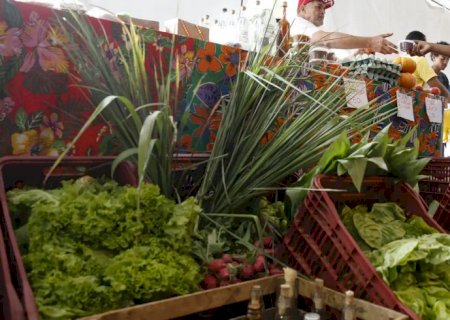 Decreto adia exigência de CNPJ para autônomos e produtores rurais