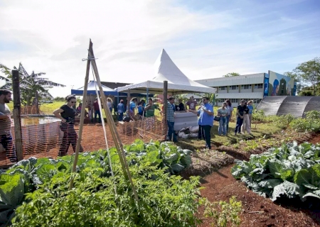 Uni&atilde;o amplia cr&eacute;dito rural e corta juros para fortalecer a agricultura familiar