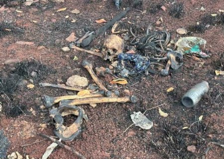 Inc&ecirc;ndio em mata revela ossada humana e pol&iacute;cia tenta identifica&ccedil;&atilde;o