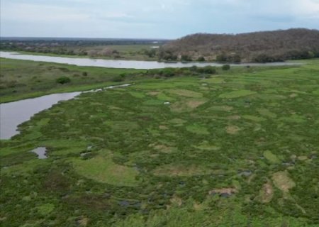 Com canal travado e via inundada, comunidade volta a ficar isolada no Pantanal>