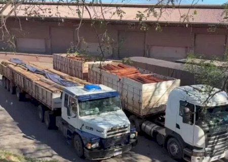 Último laudo da PF confirma que madeira apreendida não tinha cocaína