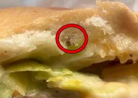 Gr&aacute;vida encontra barata em hamb&uacute;rguer e restaurante ter&aacute; de pagar R$ 6 mil>