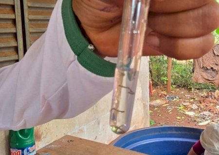 Com mortes em 10 cidades, chikungunya se aproxima de dez mil casos em MS