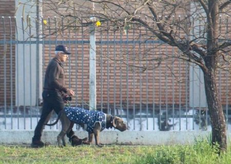 Menor temperatura registrada em MS foi de 6,4&deg;C, em Amambai
