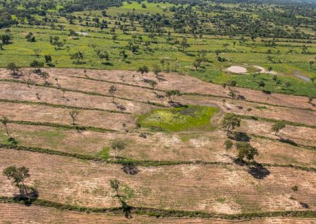 Pantanal passa a ter unidade regional para atuar em inc&ecirc;ndios e desmate>