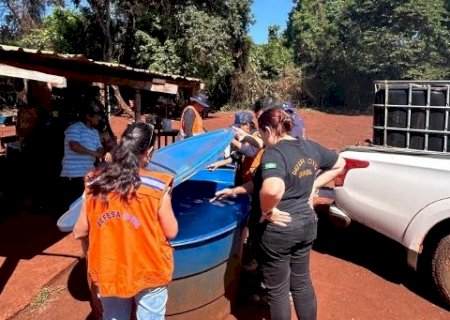 Chikungunya mata mais uma pessoa e MS chega a 30 &oacute;bitos em 2026