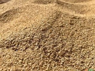 Exporta&ccedil;&atilde;o de farelo de soja supera 100 mil toneladas por tr&ecirc;s meses seguidos